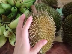 -普吉镇
