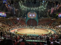 -俄罗斯国家大马戏团