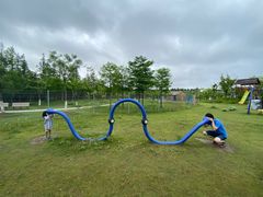 -上海长兴岛郊野公园