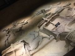 -洛阳周王城天子驾六博物馆