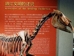 -齐齐哈尔市博物馆