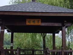 -大兴滨河森林公园