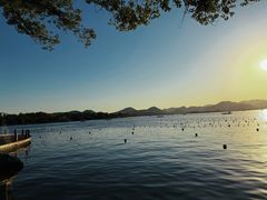 -杭州君悦酒店