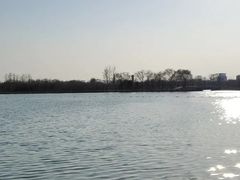 -大兴滨河森林公园