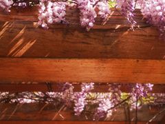 -徐家汇源景区-衡山公园