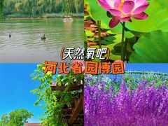 -河北省园博园