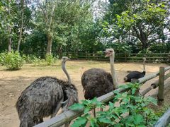 -大连森林动物园