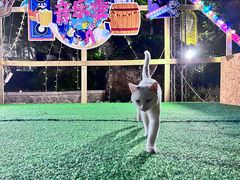 -天毓山庄·餐厅