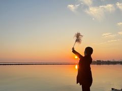 -合肥滨湖国家森林公园