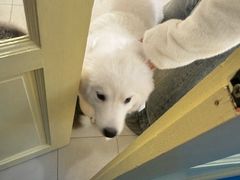 -杨老头鲜货烧烤(太古里店)