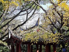 -乌山风景区