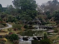 -东莞植物园