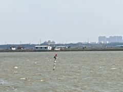 -七的湖·晚芳亭·阳澄湖农家菜·大闸蟹(莲花岛店)