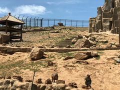 -石家庄市动物园