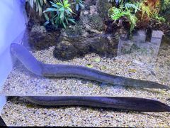 -上海海洋水族馆