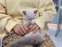 -FULL MOON满月咖啡