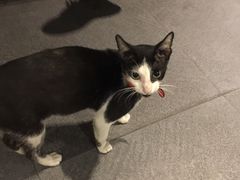 -Isla Sugbu Seafood City