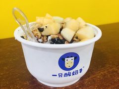-一只酸奶牛(八一路店)