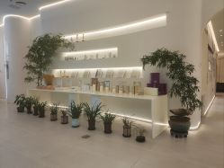 -紫琪尔·匠心连锁·胸部护理养护