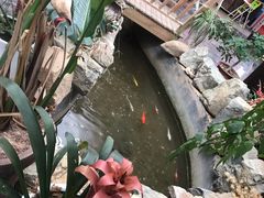 -小仙居·农家宴烤羊· 农庄