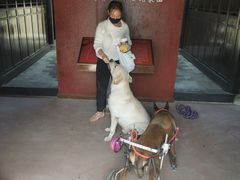 -武汉姚家山旅游景区