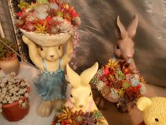 -龙大花卉苗木市场