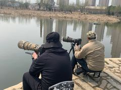 -前关湿地公园