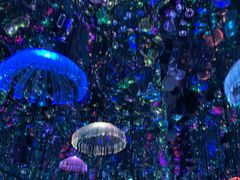-深圳独角兽星空艺术馆