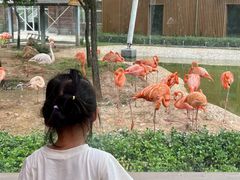 -太原动物园
