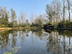 -溱湖国家湿地公园