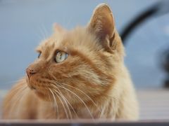 -METAL HANDS(五道营店)