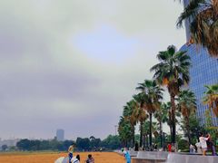 -金沙湖公园