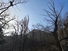 -北京鹫峰国家森林公园