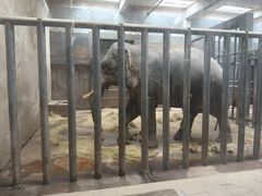 -无锡动物园·太湖欢乐园
