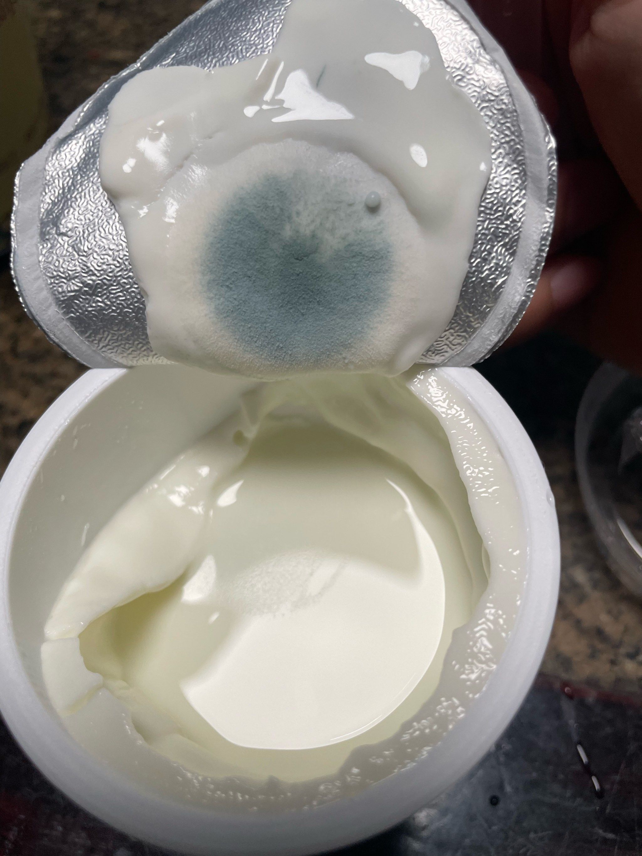 酸奶长菌子了