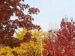 -辽宁大学(崇山校区)