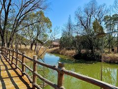 -河姆渡遗址博物馆