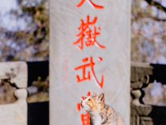 -武当山风景区