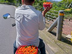 -桃源山庄·水蜜桃采摘·柴火鸡·烧烤团建(龙泉山店)