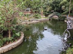 -深圳野生动物园