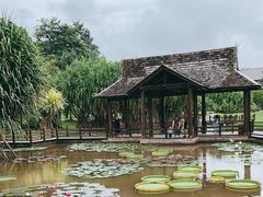 -中国科学院西双版纳热带植物园