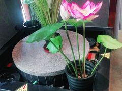 -巴渝菜馆(涿州店)