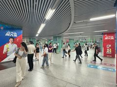 -宋家庄(地铁站)