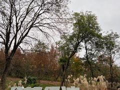 -白鹭湾湿地公园
