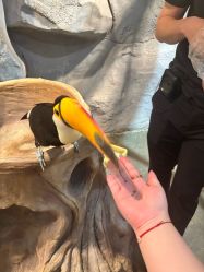 -Zoolung Zoolung动物主题公园(海信广场店)