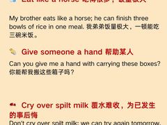 -引领英语·成人口语·雅思托福