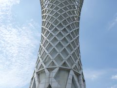 -上海滨江森林公园