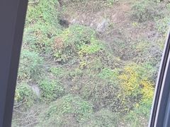 -少华山国家森林公园