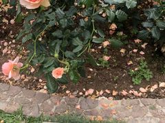 -人民公园(罗湖区)