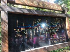 -望天鹅景区